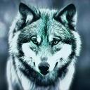 Avatar de OverWolf