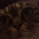 Avatar de ch'tulu-rei