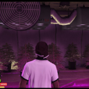 Avatar de Wallid ray