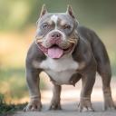 Avatar de highdoritos