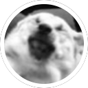 Avatar de JordanIsAHuman