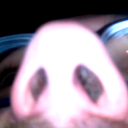 Avatar de Archimède