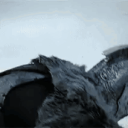 Avatar de scorpion0603