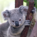 Avatar de ✨Popso47✨