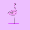 Avatar de Flamingos