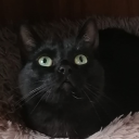 Avatar de !'' NailecYT