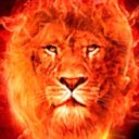 Avatar de lions2209