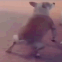 Avatar de fr4nc0isfill0n