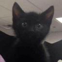 Avatar de Rck_PANDAWAN_TUTUT