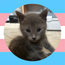 Avatar de anaya.txt