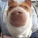 Avatar de DARKCRXSXS