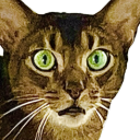 Avatar de grive2778