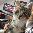 Avatar de Jadelabrune