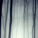 Avatar de ShadowWolfs