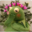 Avatar de +° ☆ ღ ~Clara~ ღ ☆ °+ | ༺❃༻