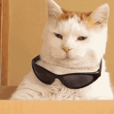 Avatar de freepoint._.