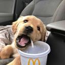 Avatar de It’s me Porni