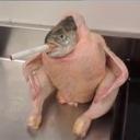 Avatar de bob le nokia