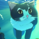 Avatar de chatdeau01