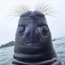 Avatar de Arkatronix