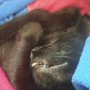 Avatar de TL IceCraft 