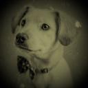 Avatar de Gameur Strategies2