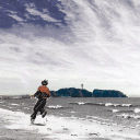 Avatar de fernando_im0