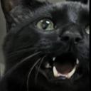 Avatar de ghulehgoddess