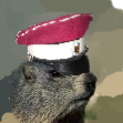 Avatar de MARMOTTE Tsariste