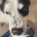 Avatar de mathoulegang