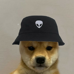 Avatar de NotTryHard Flash