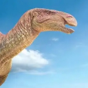 Avatar de rogta37