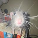 Avatar de sleepy_bubble