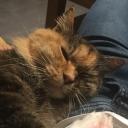 Avatar de FlamiSurDS