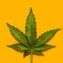 Avatar de WEED TRISTE