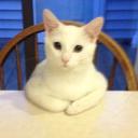 Avatar de Lil nugget