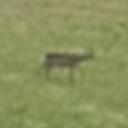 Avatar de galaxie_s9