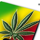 Avatar de Le-nordiste-du-59