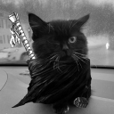 Avatar de phantome2077