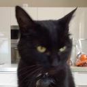 Avatar de CoolRaoul74