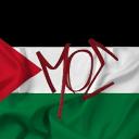 Avatar de moe.mohamed