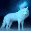 Avatar de Max_Wolfgang_YTB