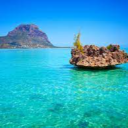 Avatar de maurice3796