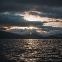 Avatar de furtif_dinoxyz