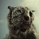 Avatar de - Anøa'ï 