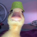 Avatar de onaprismonpseudo