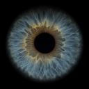 Avatar de yoru_no_kenshi