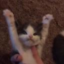 Avatar de new account check bio