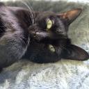 Avatar de x_ferrox.xx