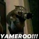 Avatar de azwiadralubisz